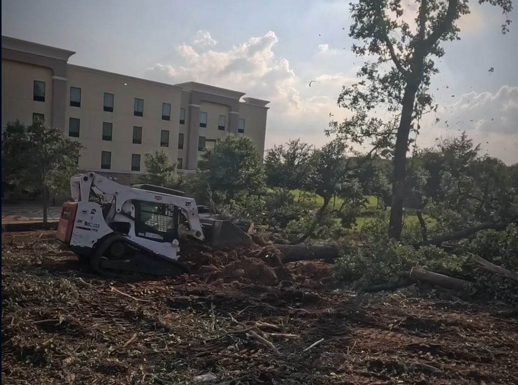 Before land clearing