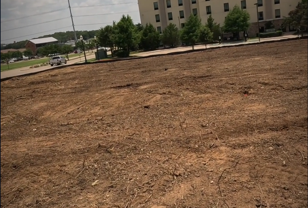 After land clearing